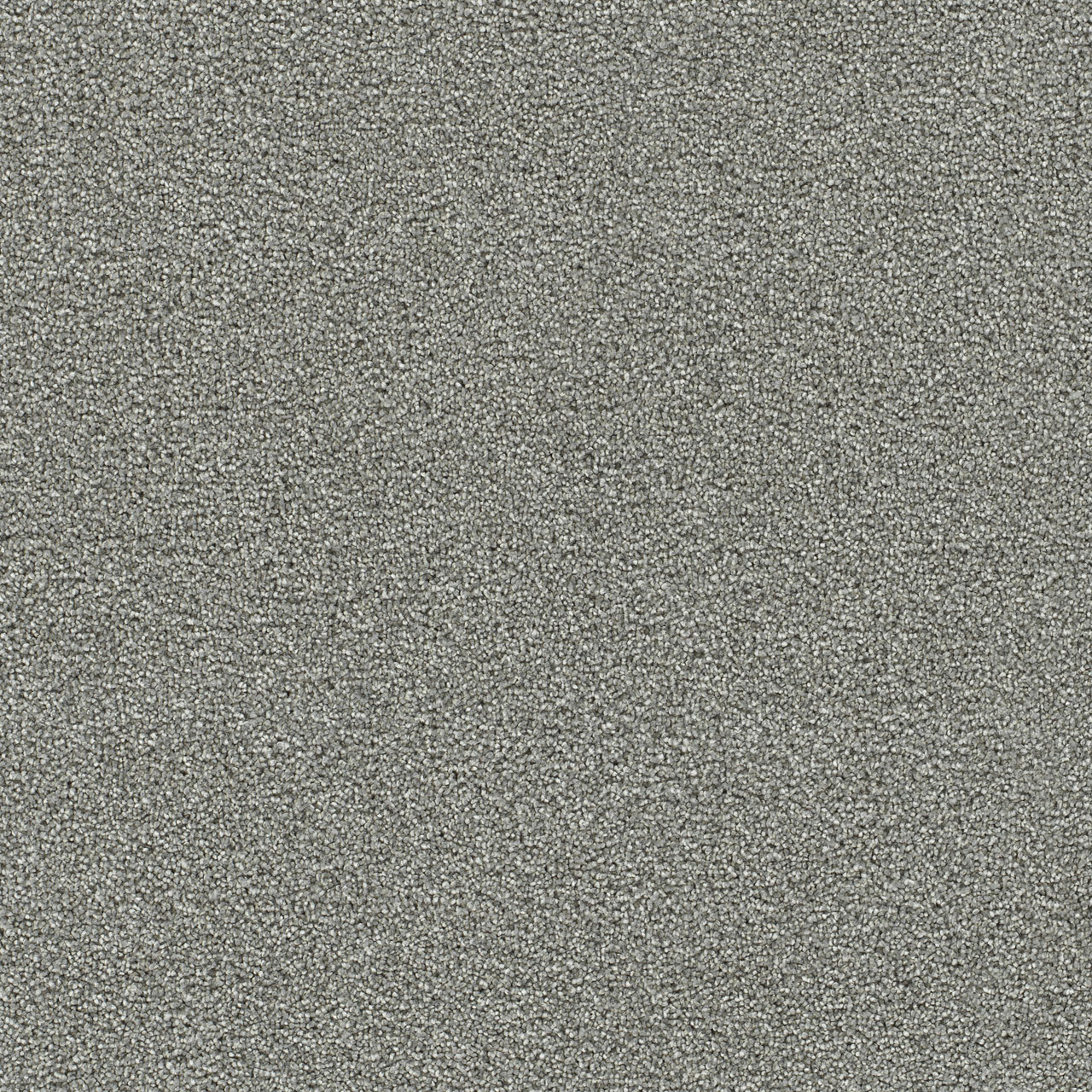 Granite Falls III - Chilly Night