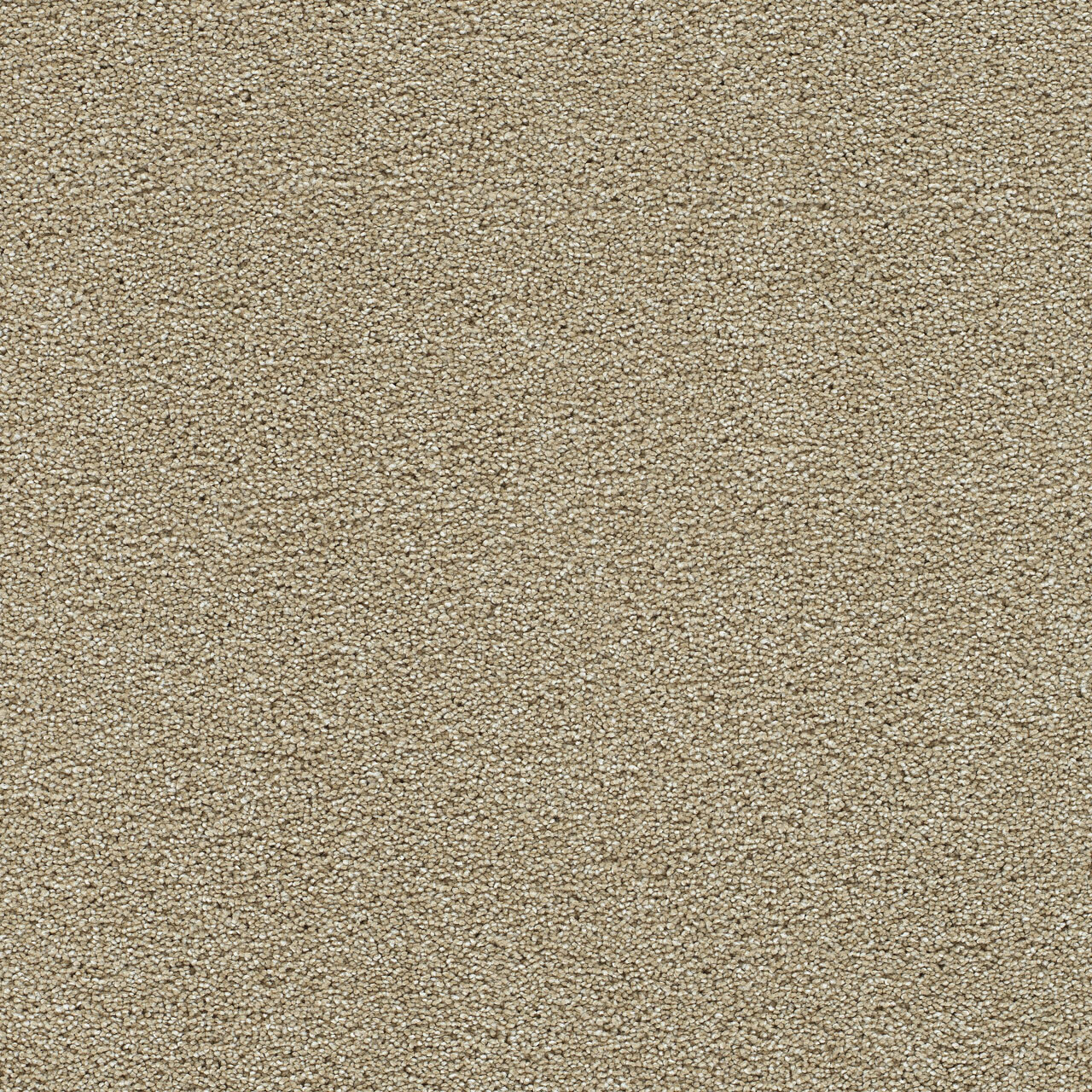 Granite Falls I - Sunflower