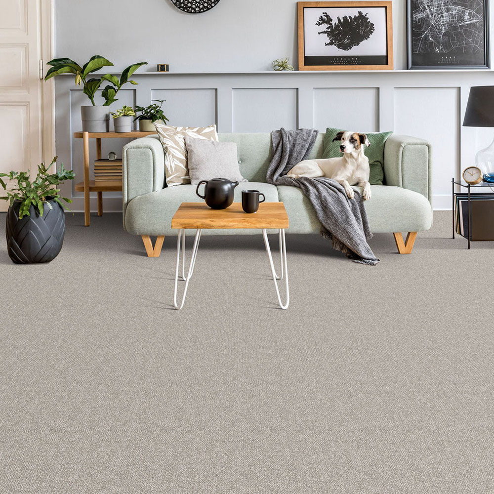 Ponderosa - Snowfall