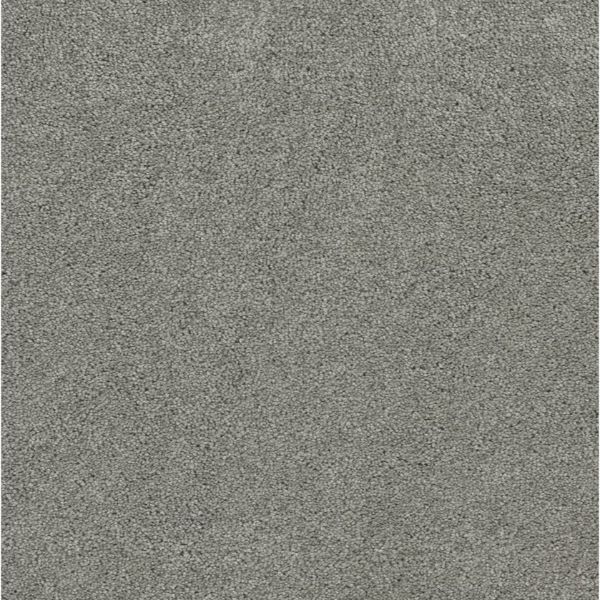 Pacifica I - Shamrock