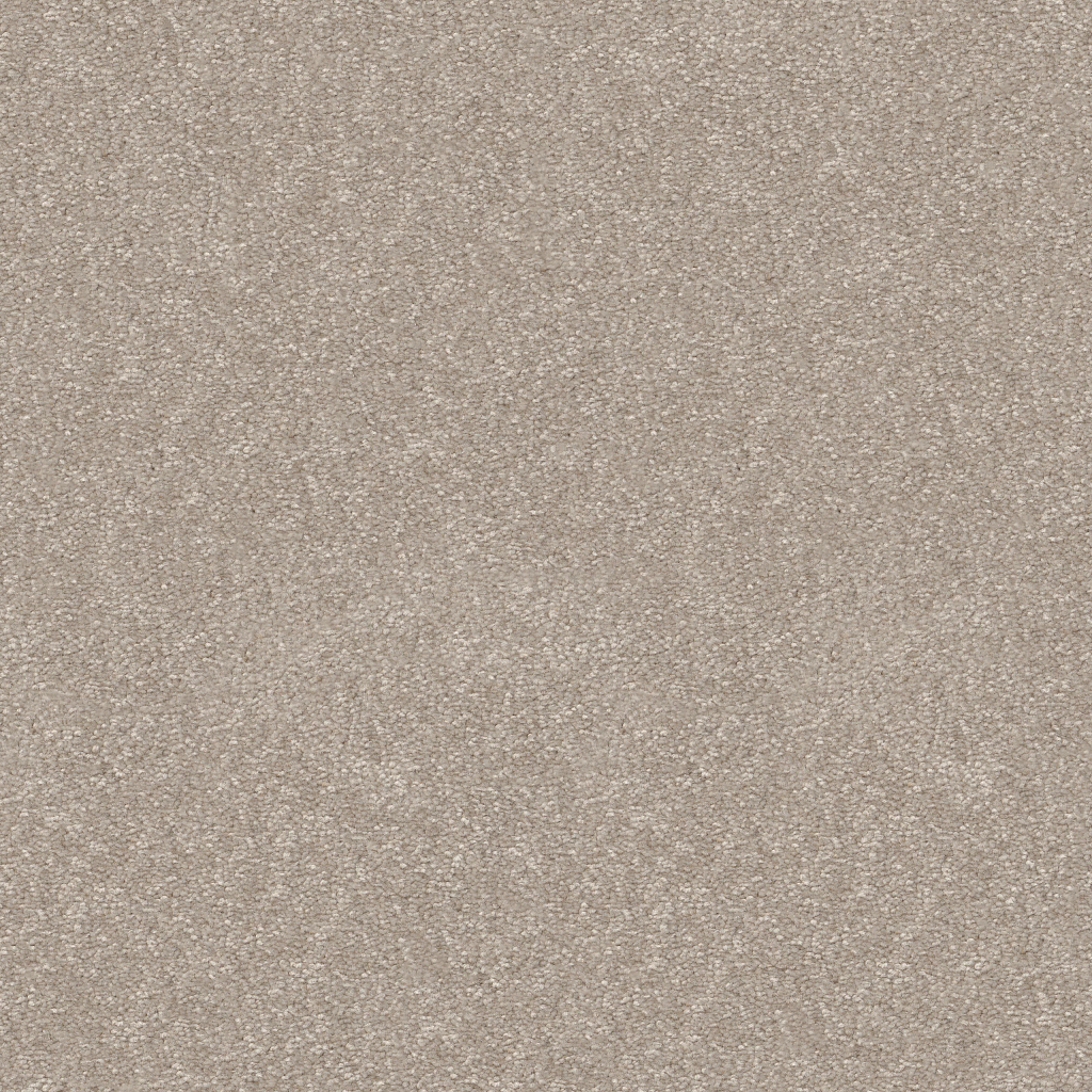 New Tradition II - Soft Sense