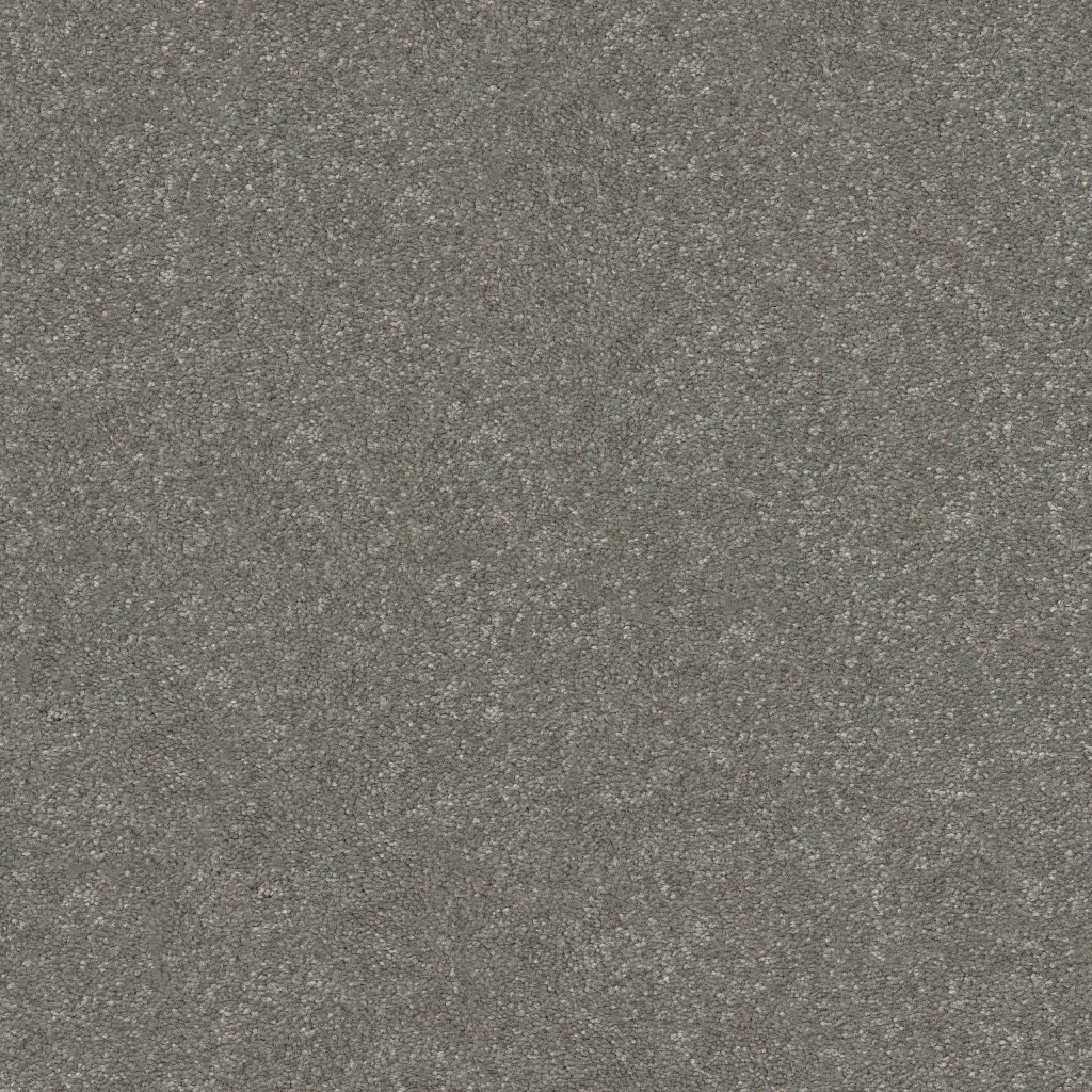 New Tradition I - Shy Sage