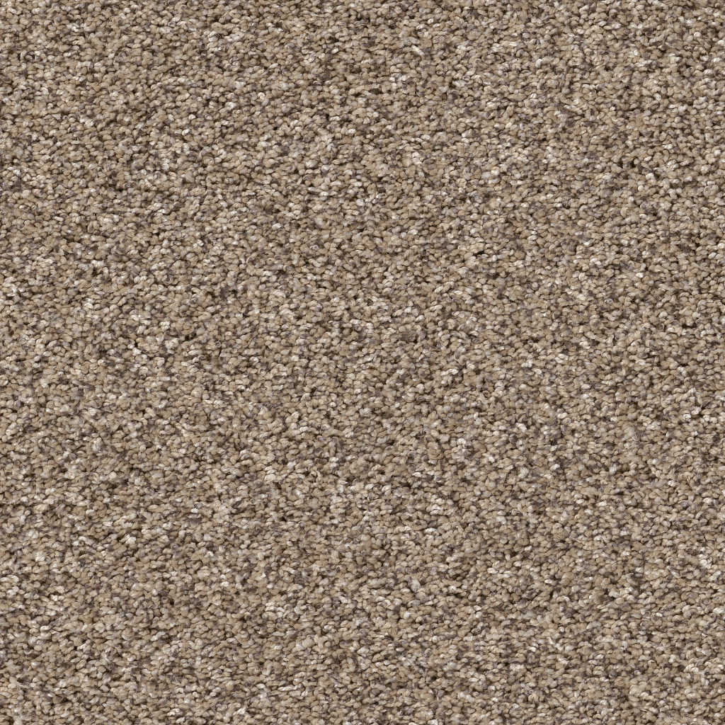 Serenade II 12' - Sea Shell