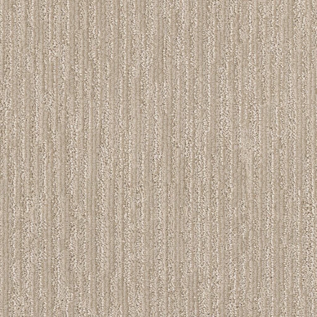 Nature Walk - Warm Light