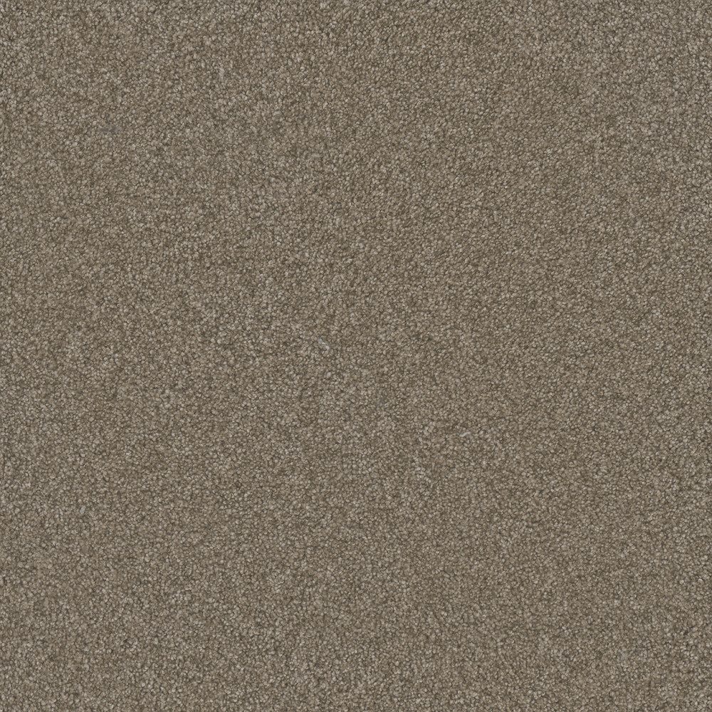 Heart of Gold III - Dust