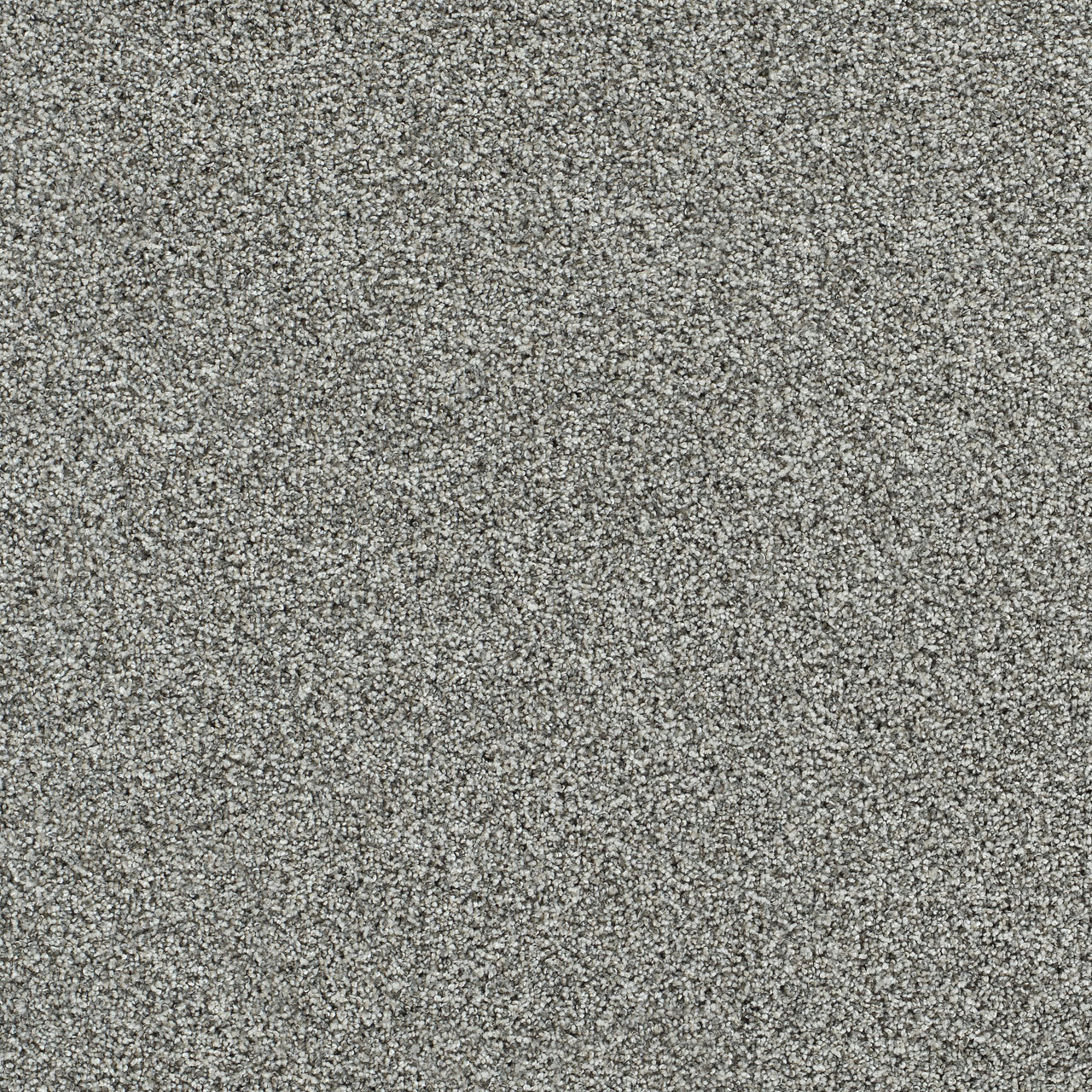 Artistic I - Luminous