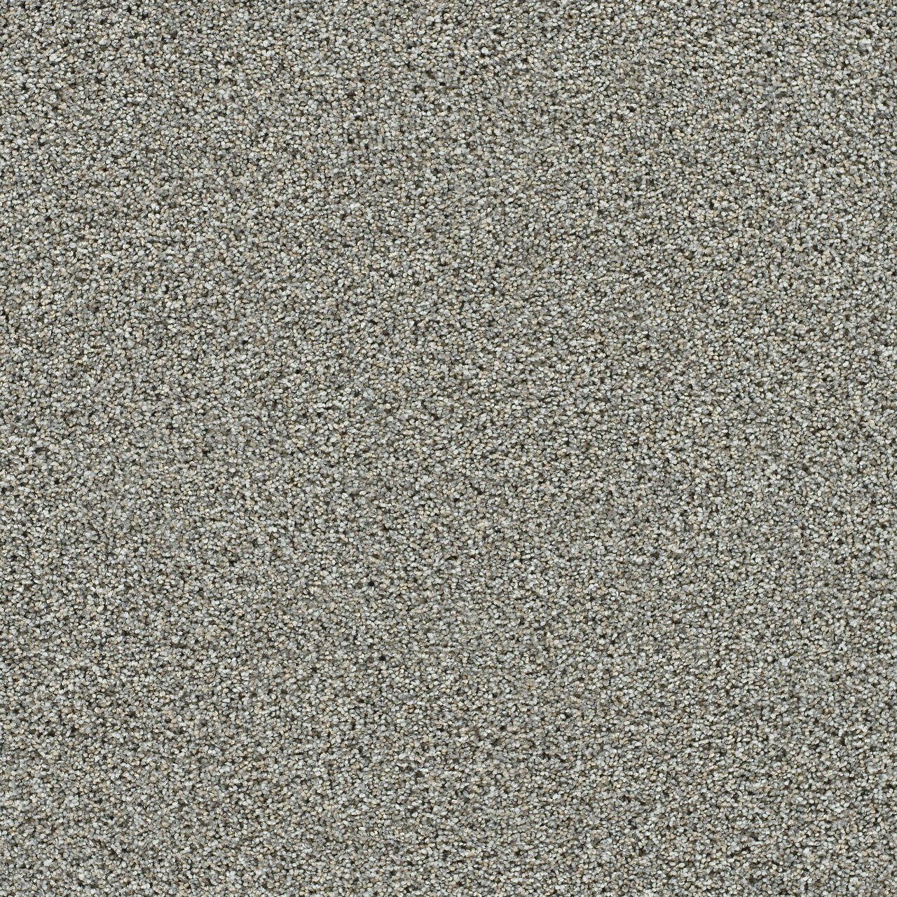 Artistic II - October Mist