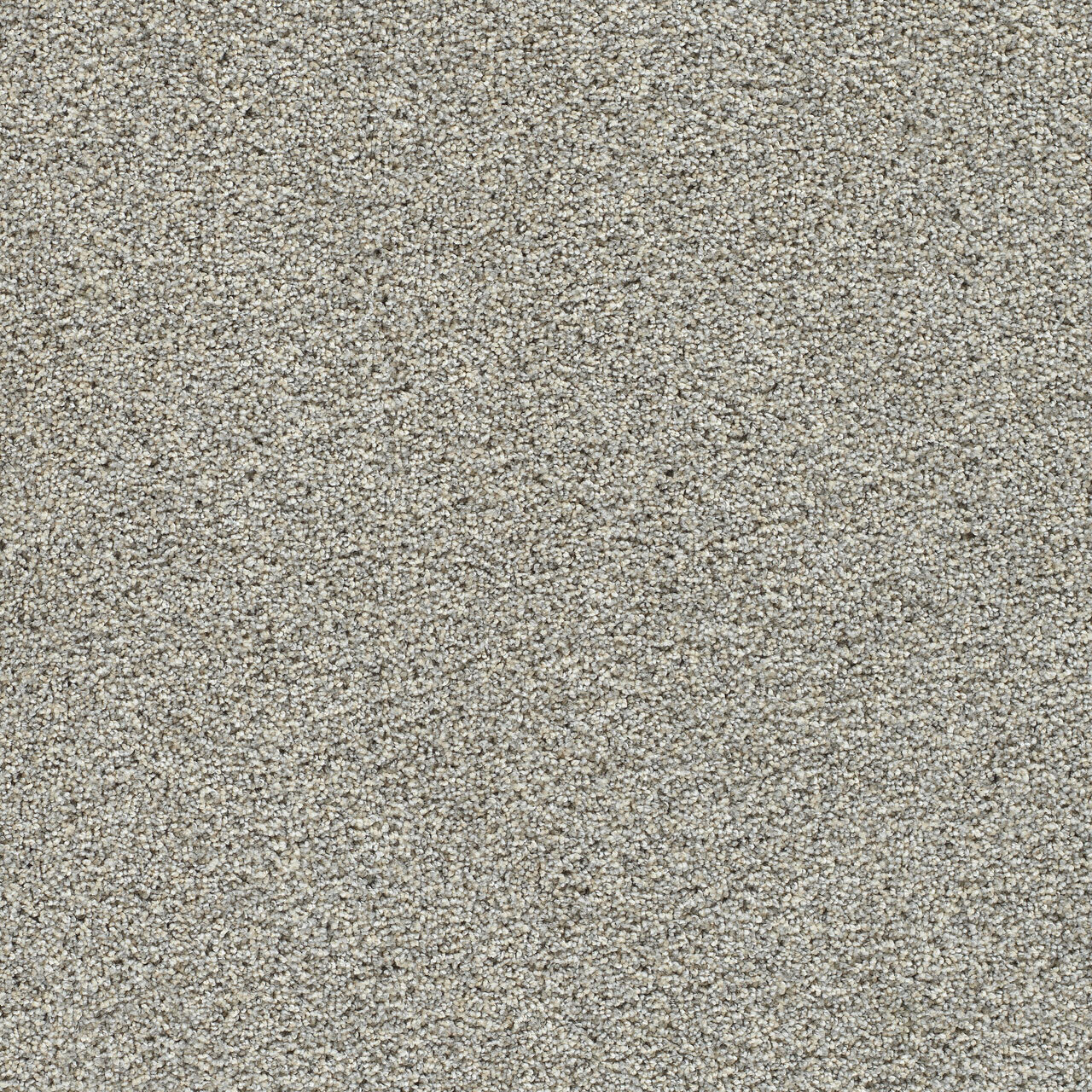 Artistic I - Whisper