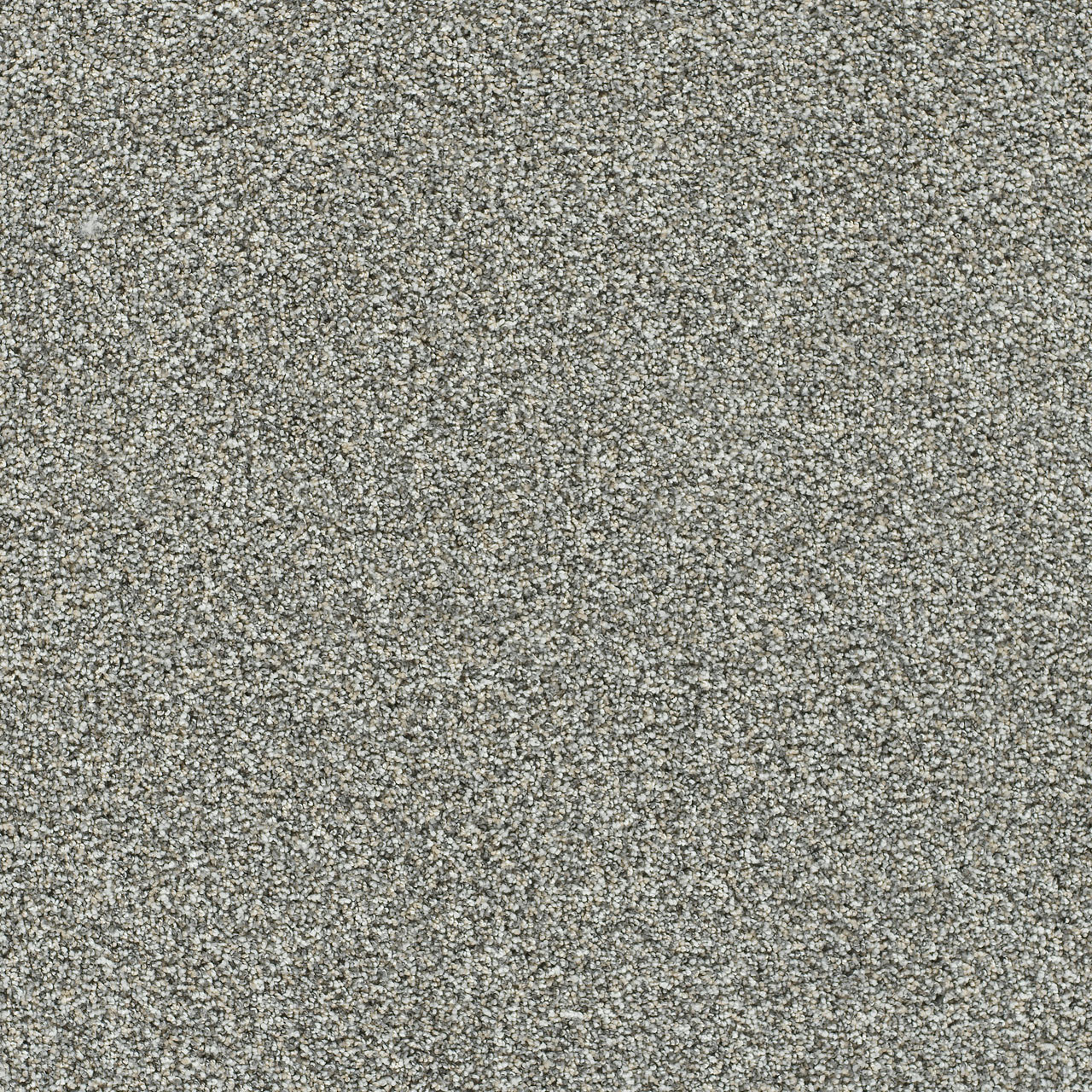 Artistic I - Grand Night