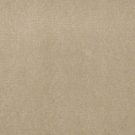 Alliance 30 - Biscotti