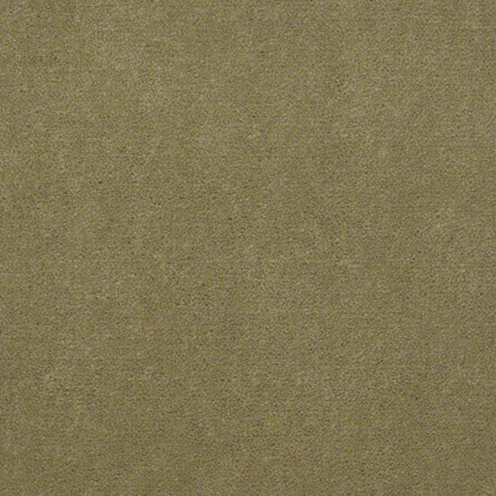 Alliance 36 - French Olive