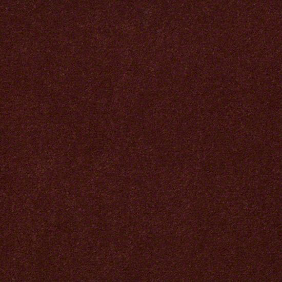 Alliance 30 - Canyon Dust