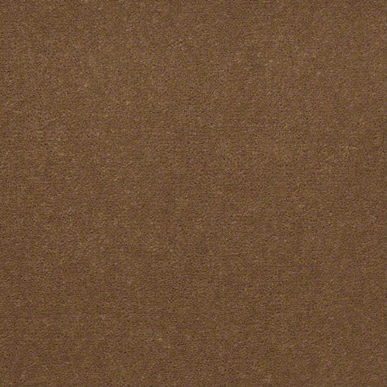 Alliance 30 - Amber Tan