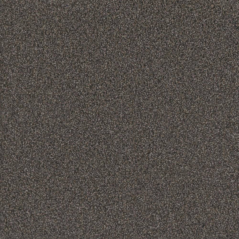 Fashion Flair II - Magnetic