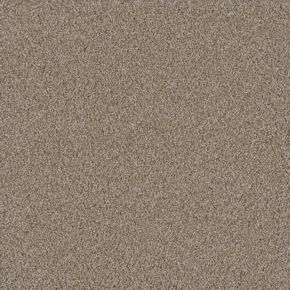 Fashion Flair II - Ambiance