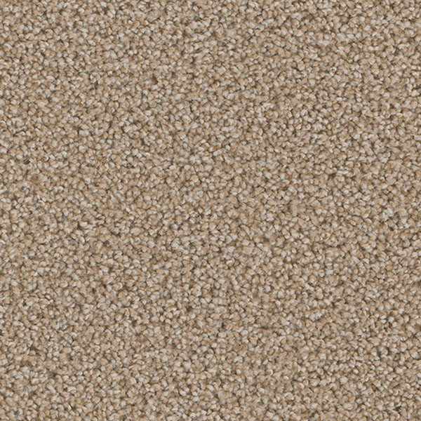 Blockbuster Plus - Iced Coffee