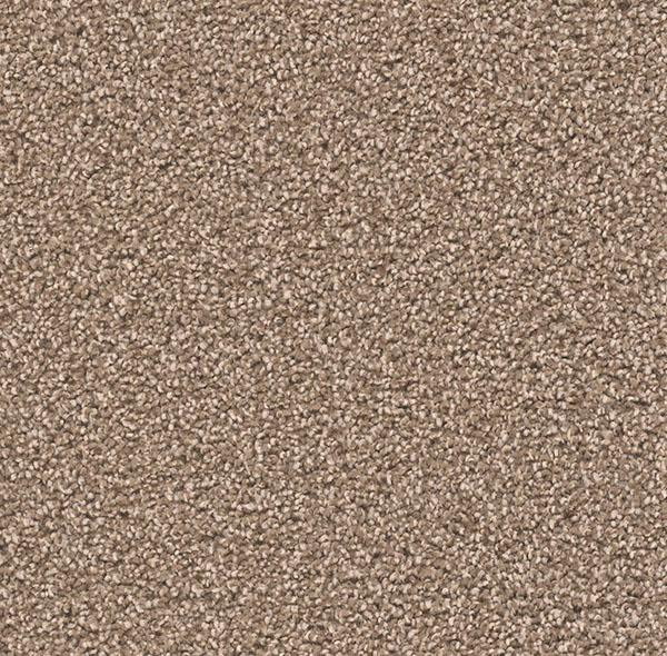 Blockbuster Plus - Dove