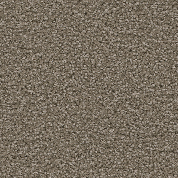 Blockbuster Plus - Riverbed