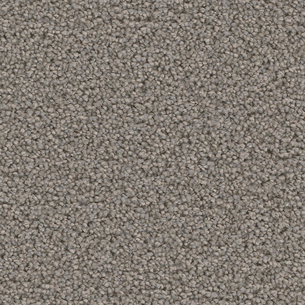 Blockbuster Plus - Bayside