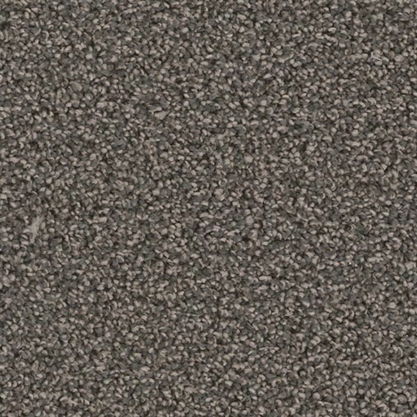 Blockbuster Plus - Electron