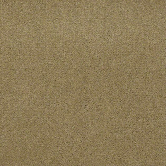 Alliance 30 - Tuscan Gold