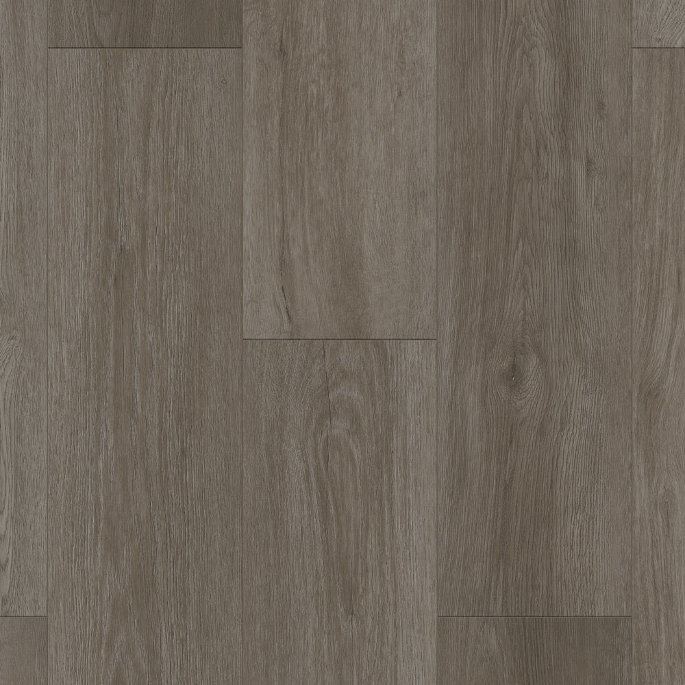 Odyssey - Castle Gate