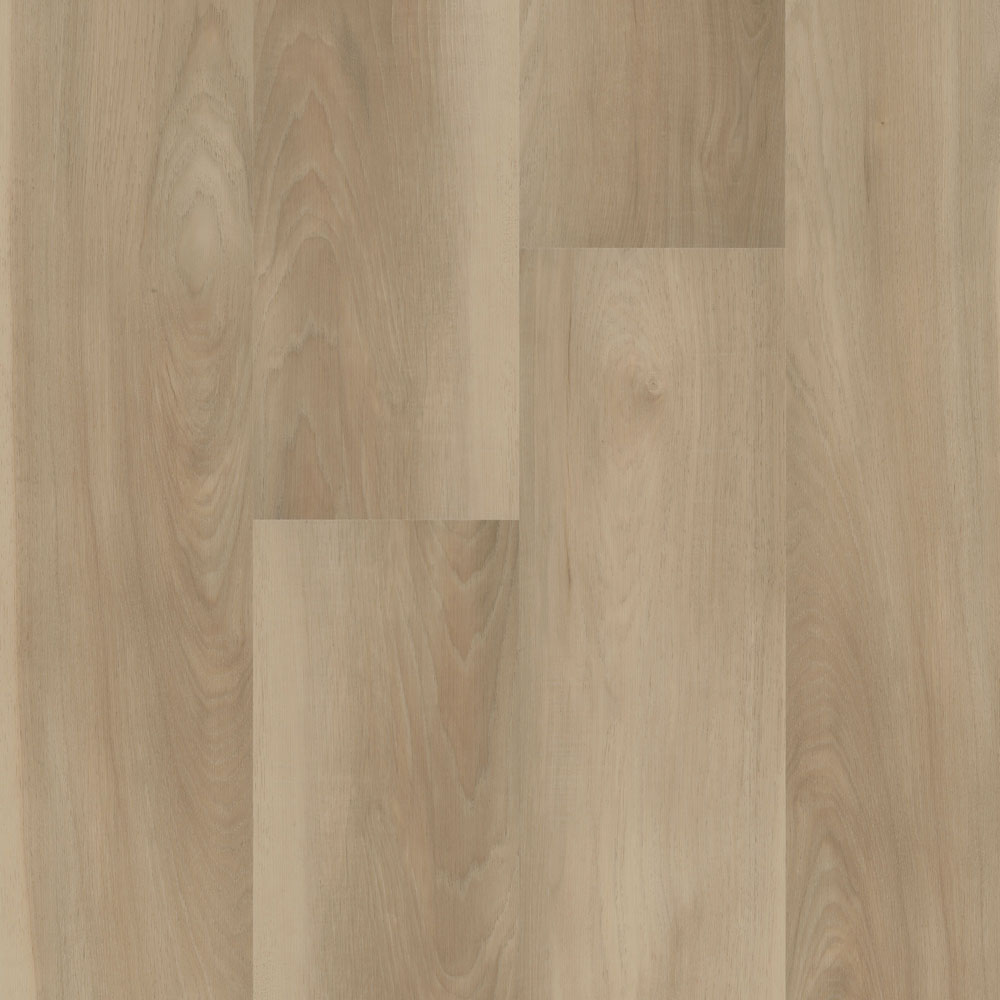 Osprey - Venice Beach