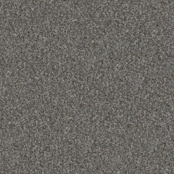 Sea Ice