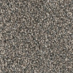Iron Sands