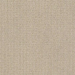 Studio Taupe