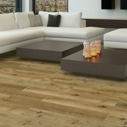 Northern White Oak